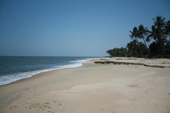 Fool'S Paradise Homestay Alappuzha Bagian luar foto