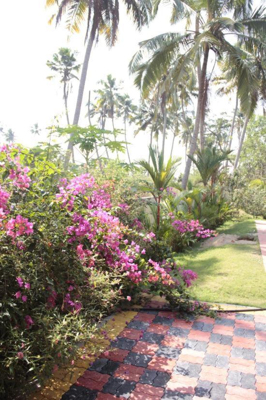 Fool'S Paradise Homestay Alappuzha Bagian luar foto